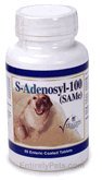 Chewable Tablets 60 ct J281