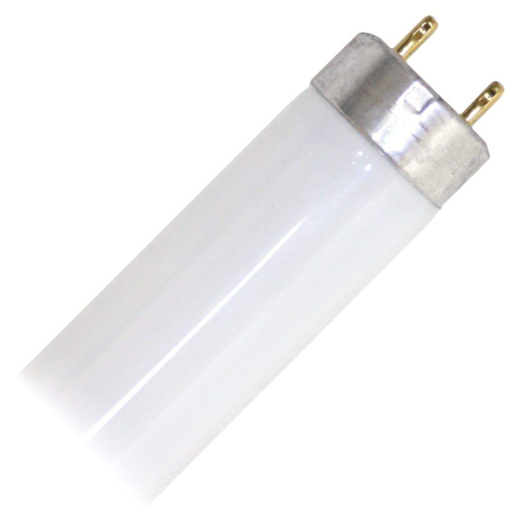 T8 Linear Fluorescent Lamp 17 Watt 24 Inch 3000K I88973