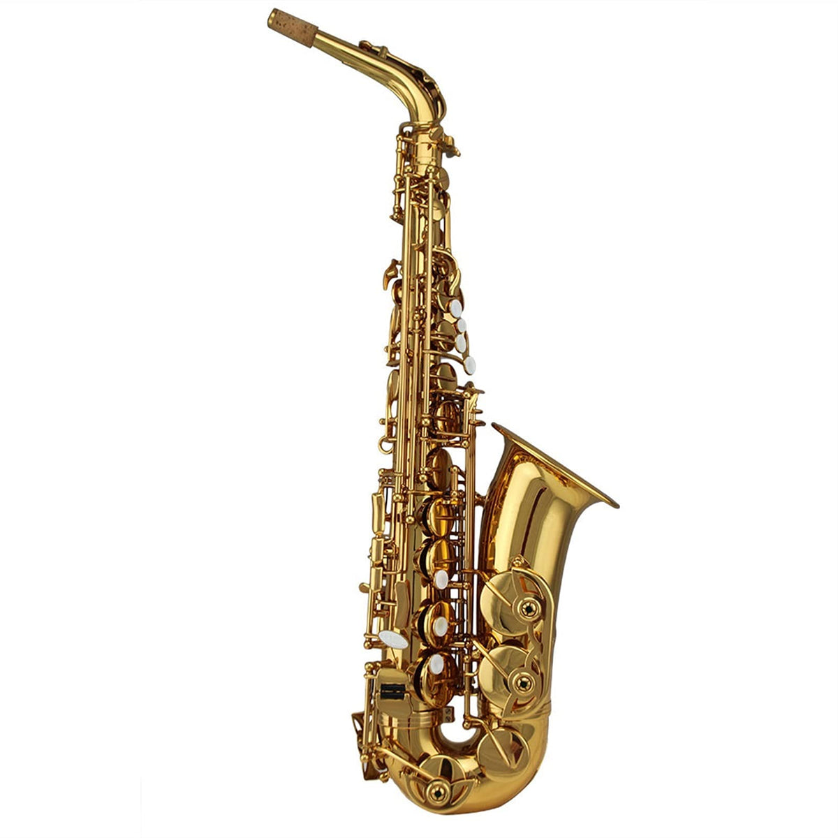 Alto Saxophone Set N637