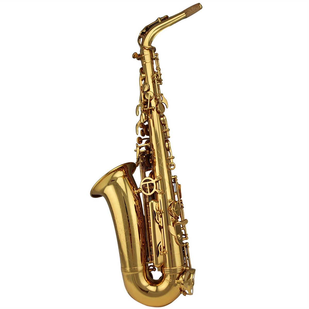Alto Saxophone Set N637