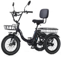Fat Tire Folding Electric Tricycle D66872