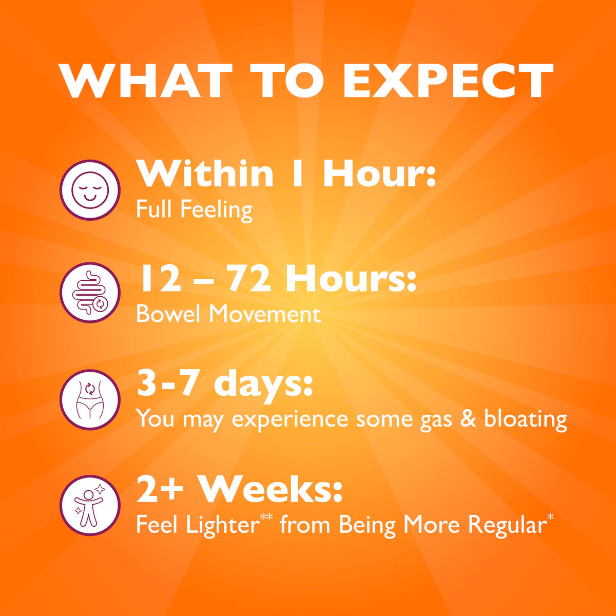 Sugar-Free Orange Flavored Psyllium Husk Fiber Powder R564