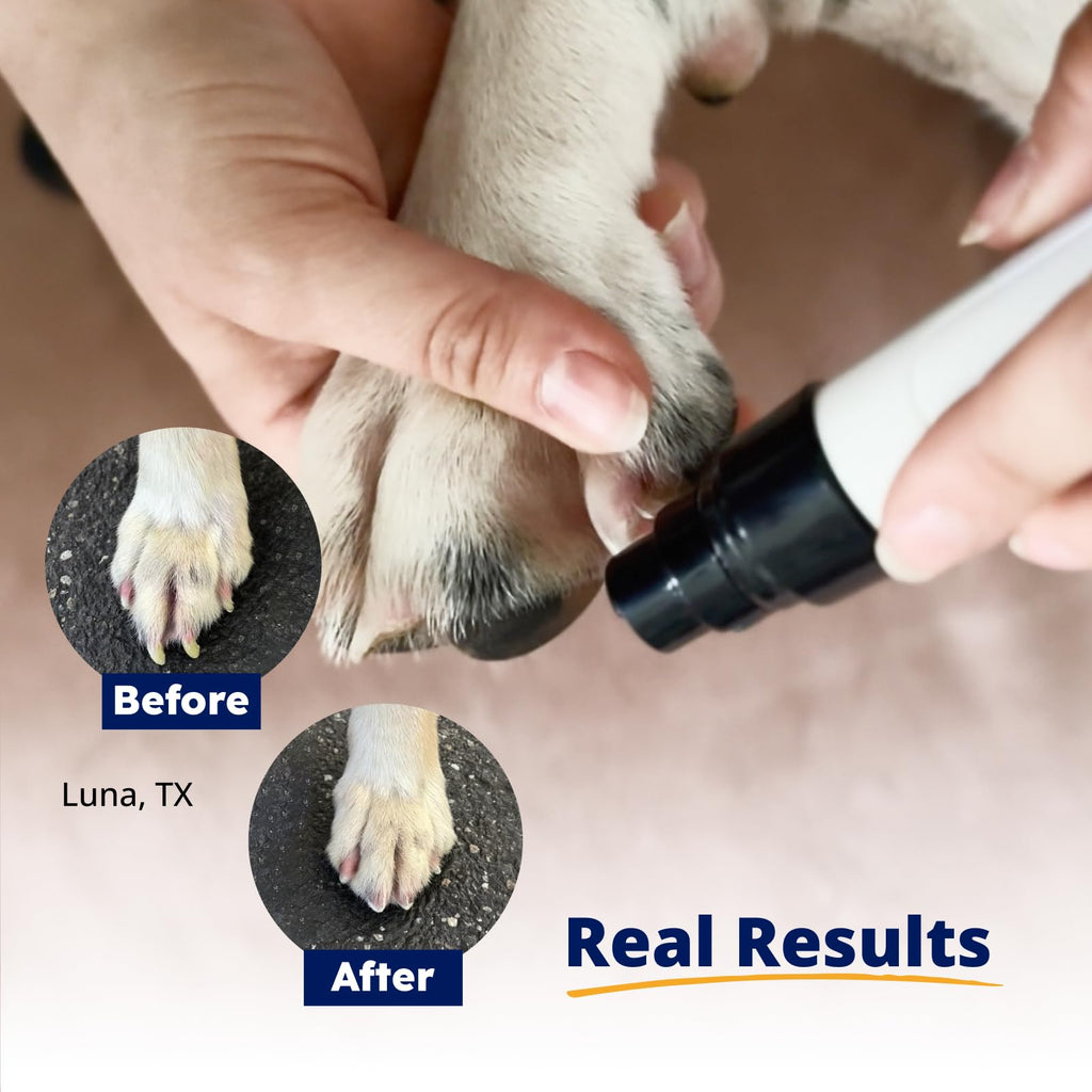 Pet Nail Grinder with Replacement Drum Grinders Z6480