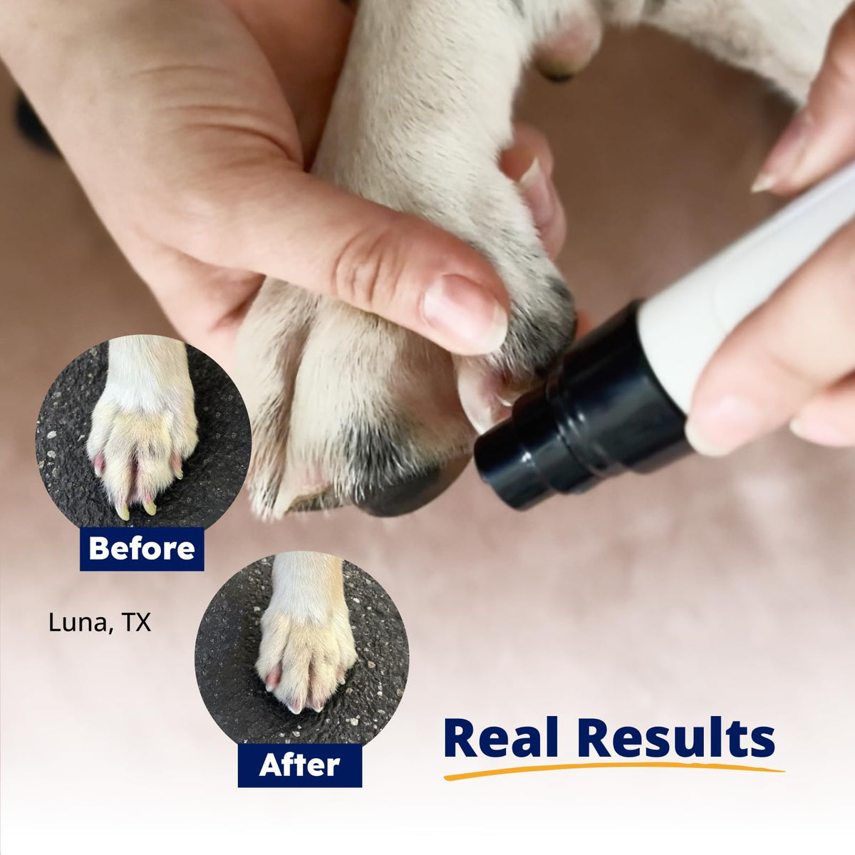 Pet Nail Grinder with Replacement Drum Grinders Z6480