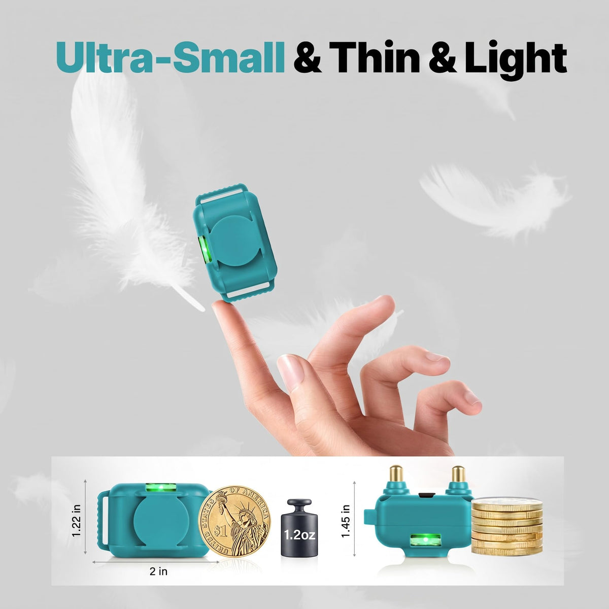 Small Cat Training Collar with Remote P609821