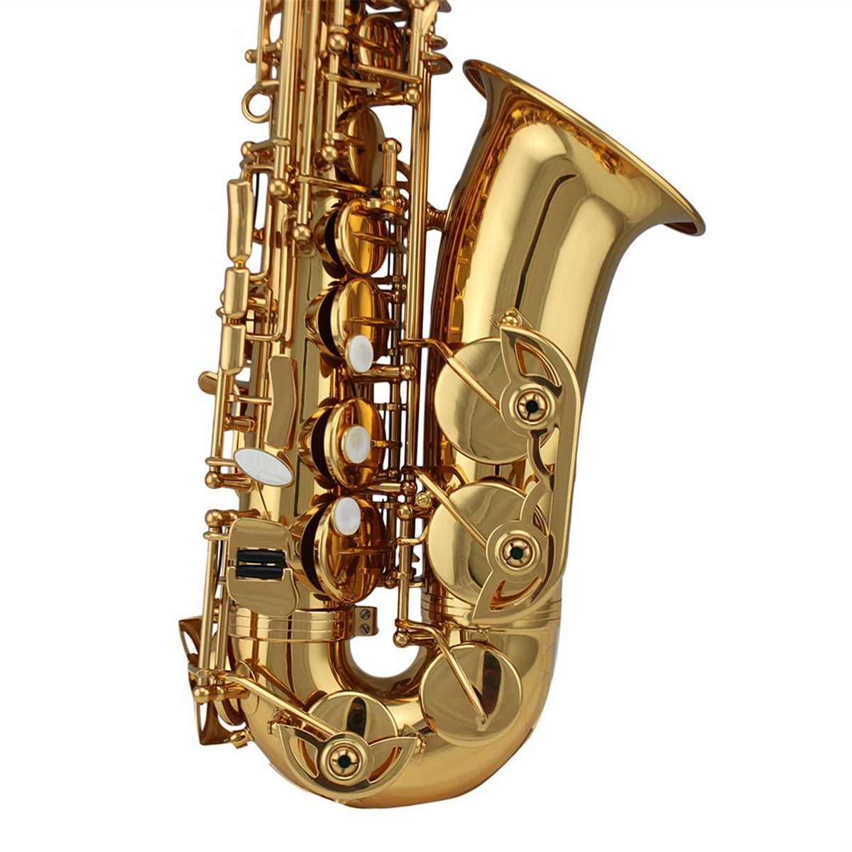 Alto Saxophone Set N637