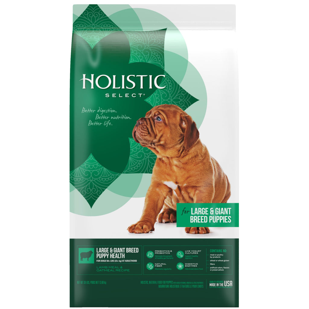Natural Dry Dog Food Large Breed Puppy 30-Pound Bag D216937