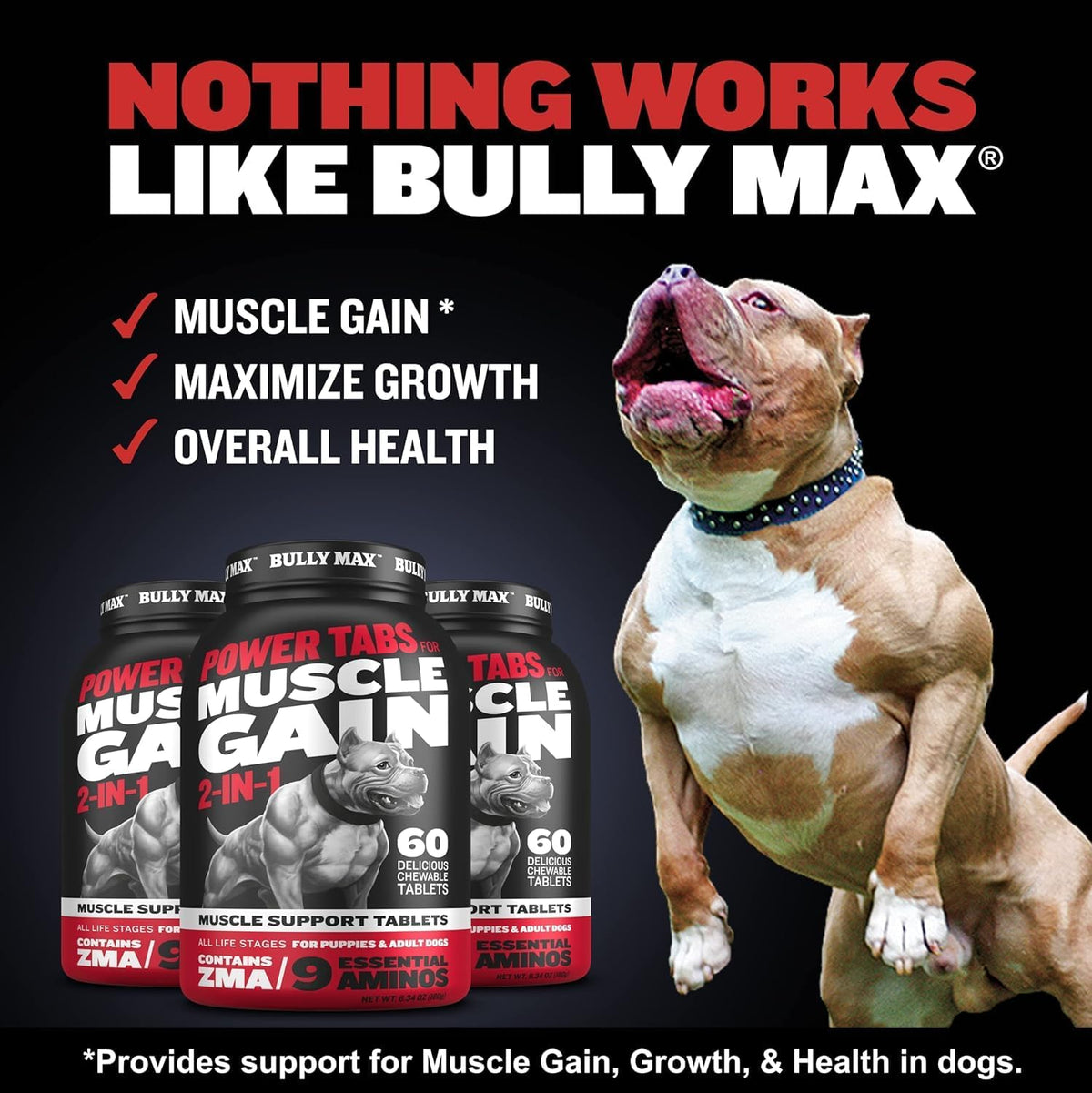 Liquid Dog Muscle Builder and Power Tabs Bundle T489071