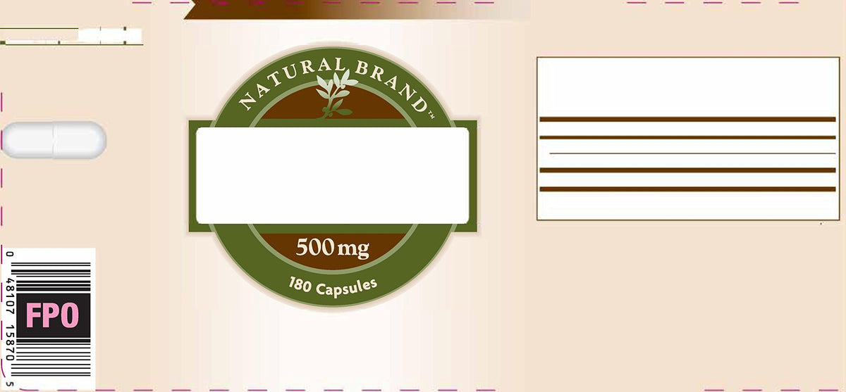 Psyllium Seed Husk 500mg 180 Capsules D262