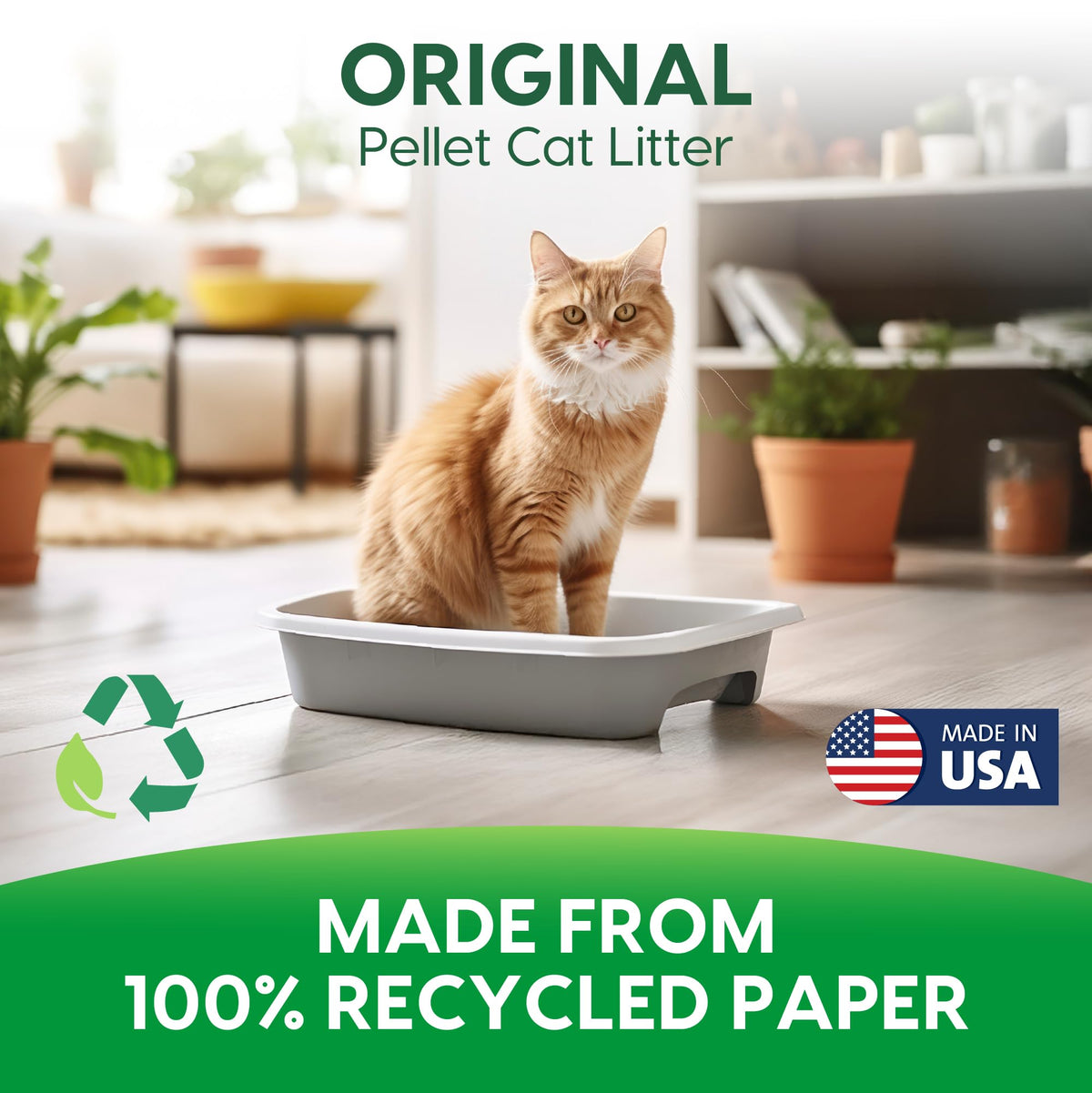 Recycled Paper Cat Litter, 12 Pound, Non-Clumping, Unscented E905