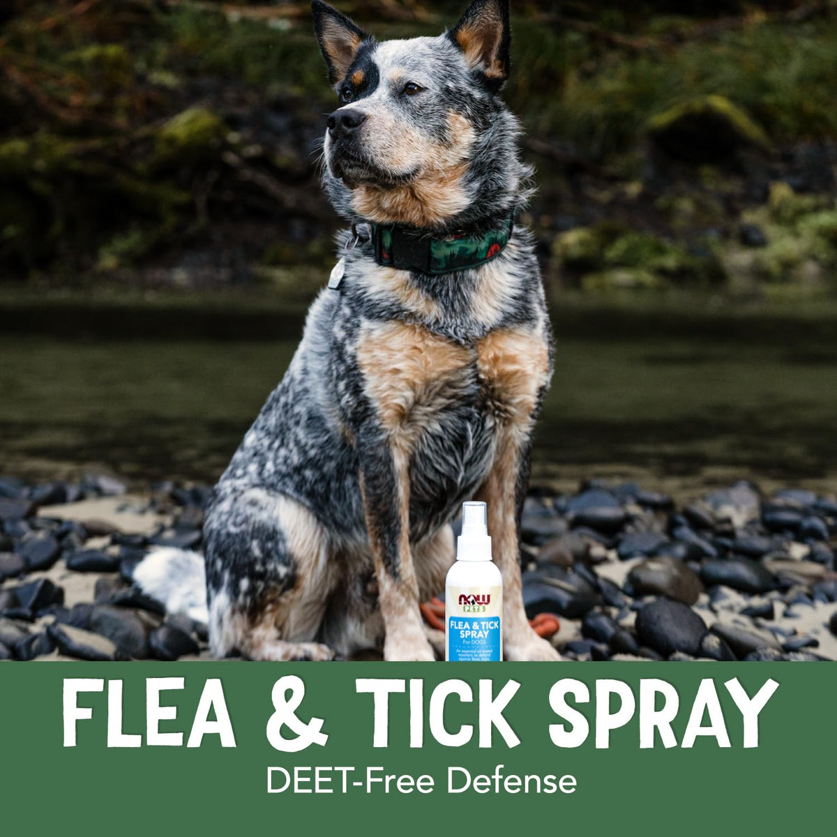 Flea and Tick Spray for Dogs 8-Ounce W387055