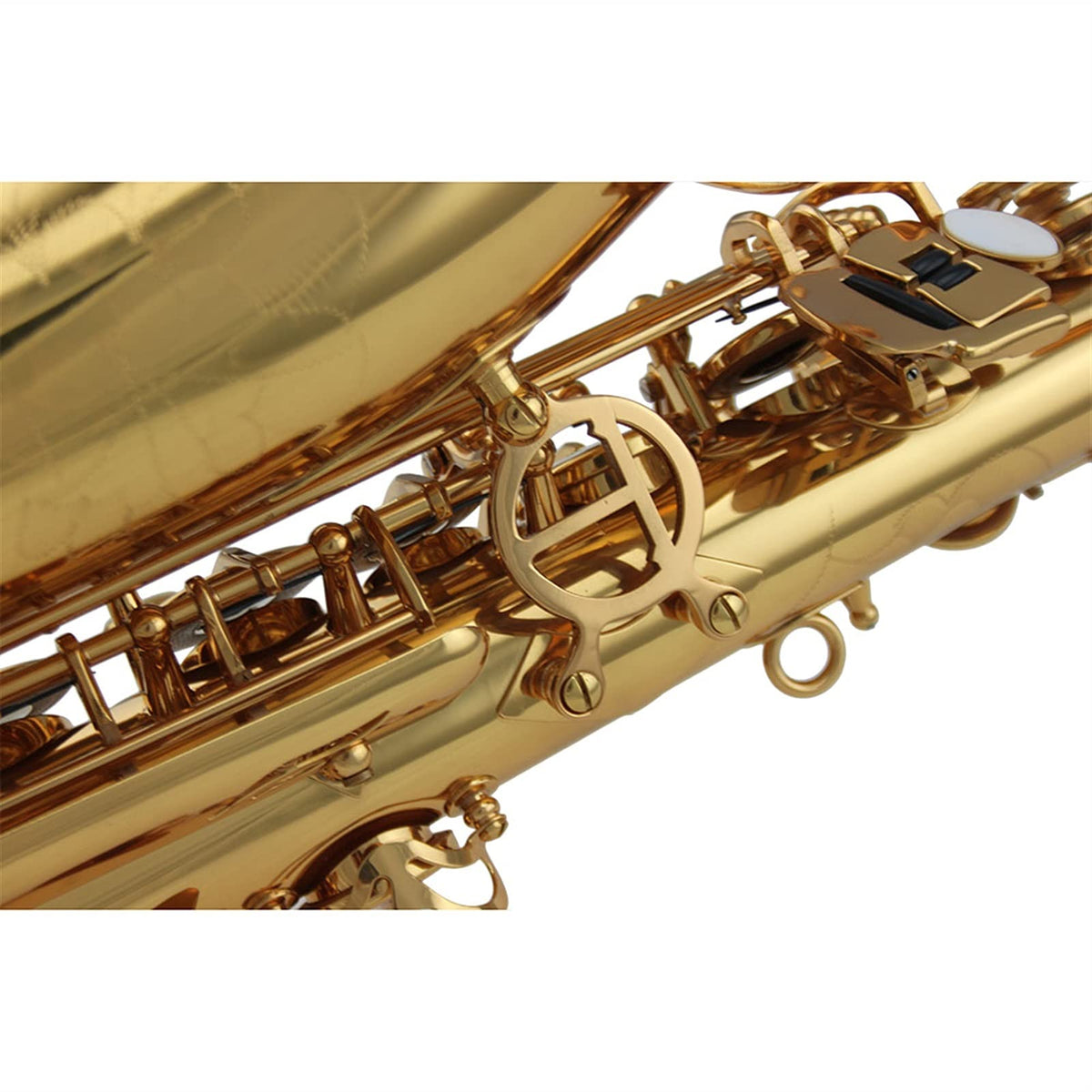 Alto Saxophone Set N637