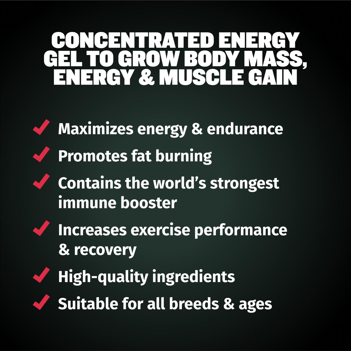 Liquid Dog Muscle Builder and Power Tabs Bundle T489071