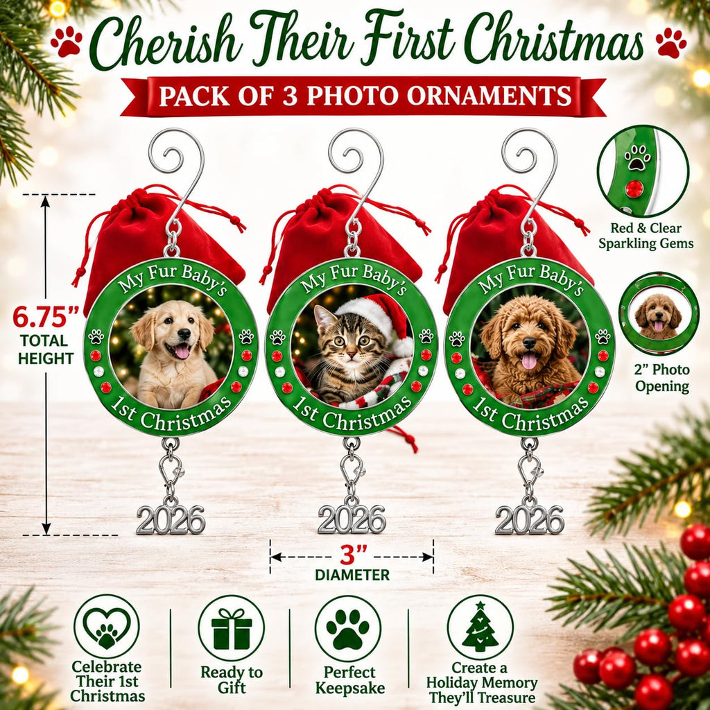 Dog Christmas Photo Ornament 3-Pack 3 Inch E30235