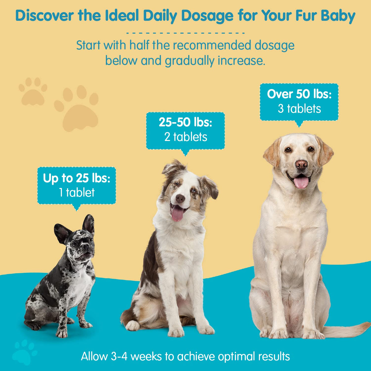 Milk Thistle for Dogs Chewable Tablets E6096