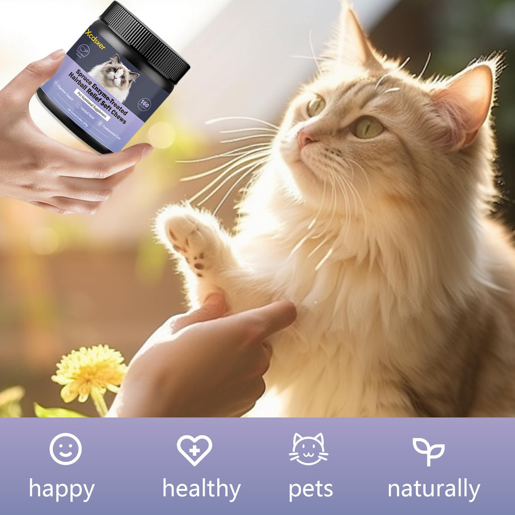 Chicken Flavor Soft Chews Hairball Aid Supplement for Cats B43874