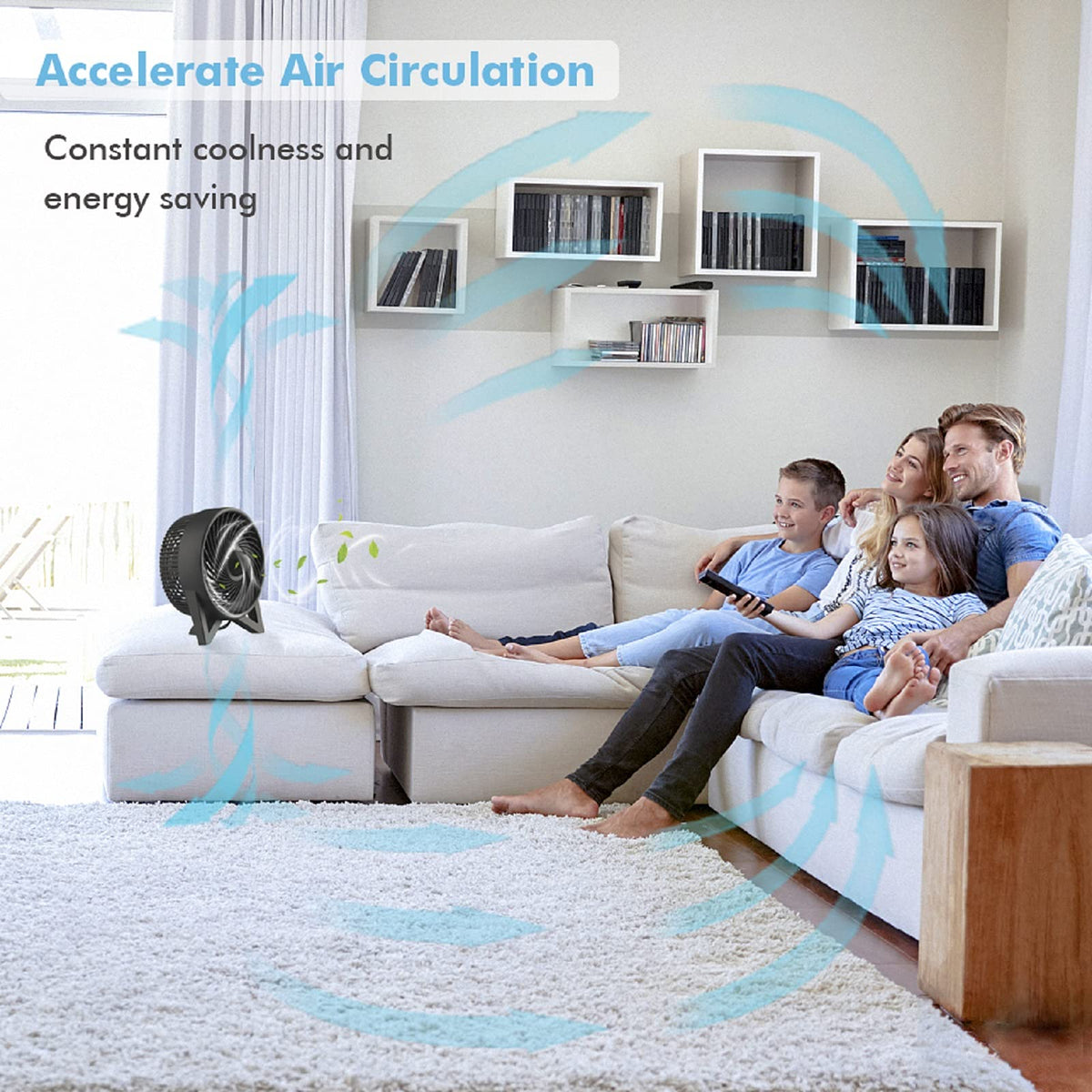 8 Inch Portable Quiet Desk Fan with 2 Speeds, Black F2682