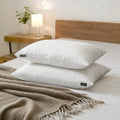 Feather and Down Pillows, 100% Organic Cotton Cover P660496