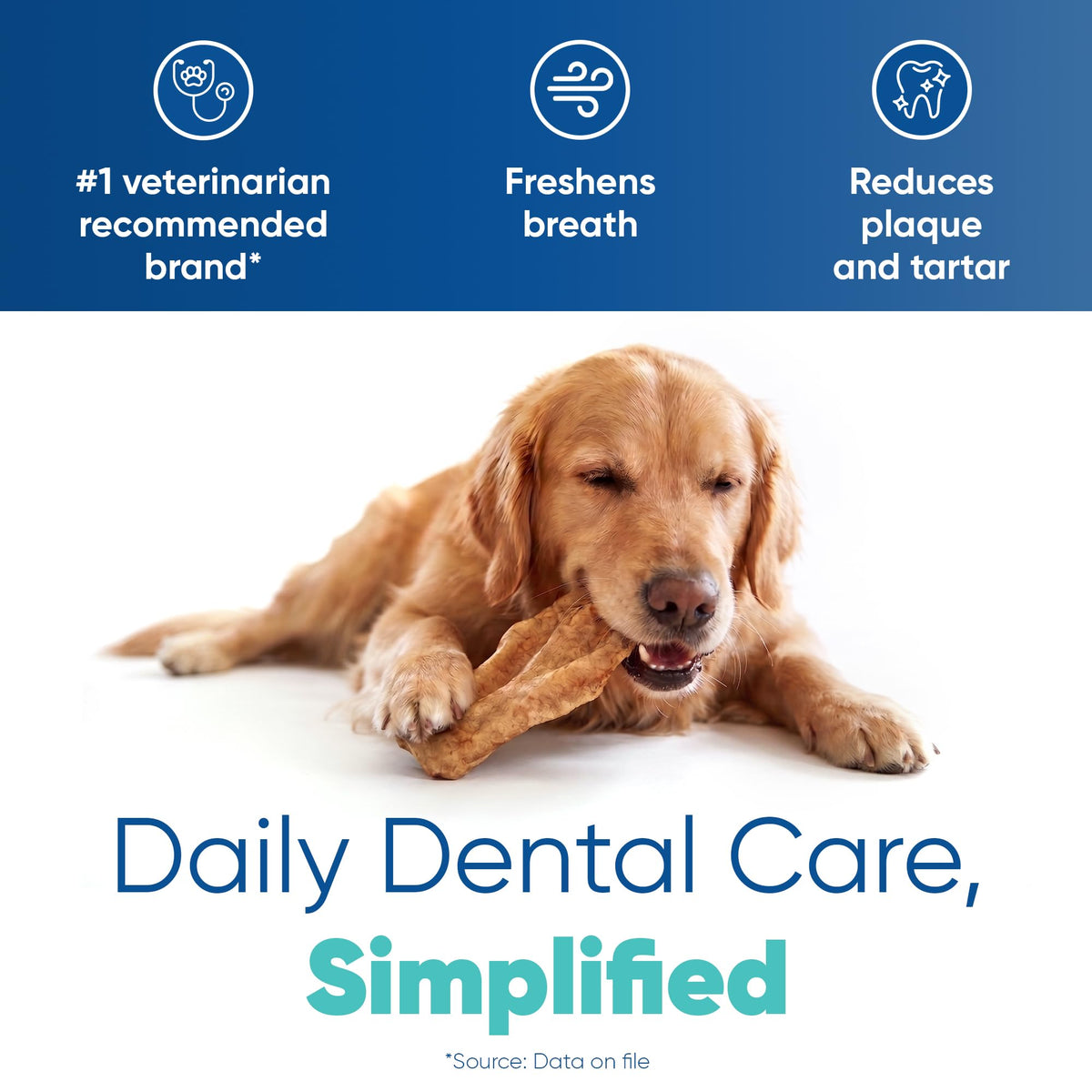 Large Tartar Control Enzymatic Oral Hygiene Chews for Dogs N9262