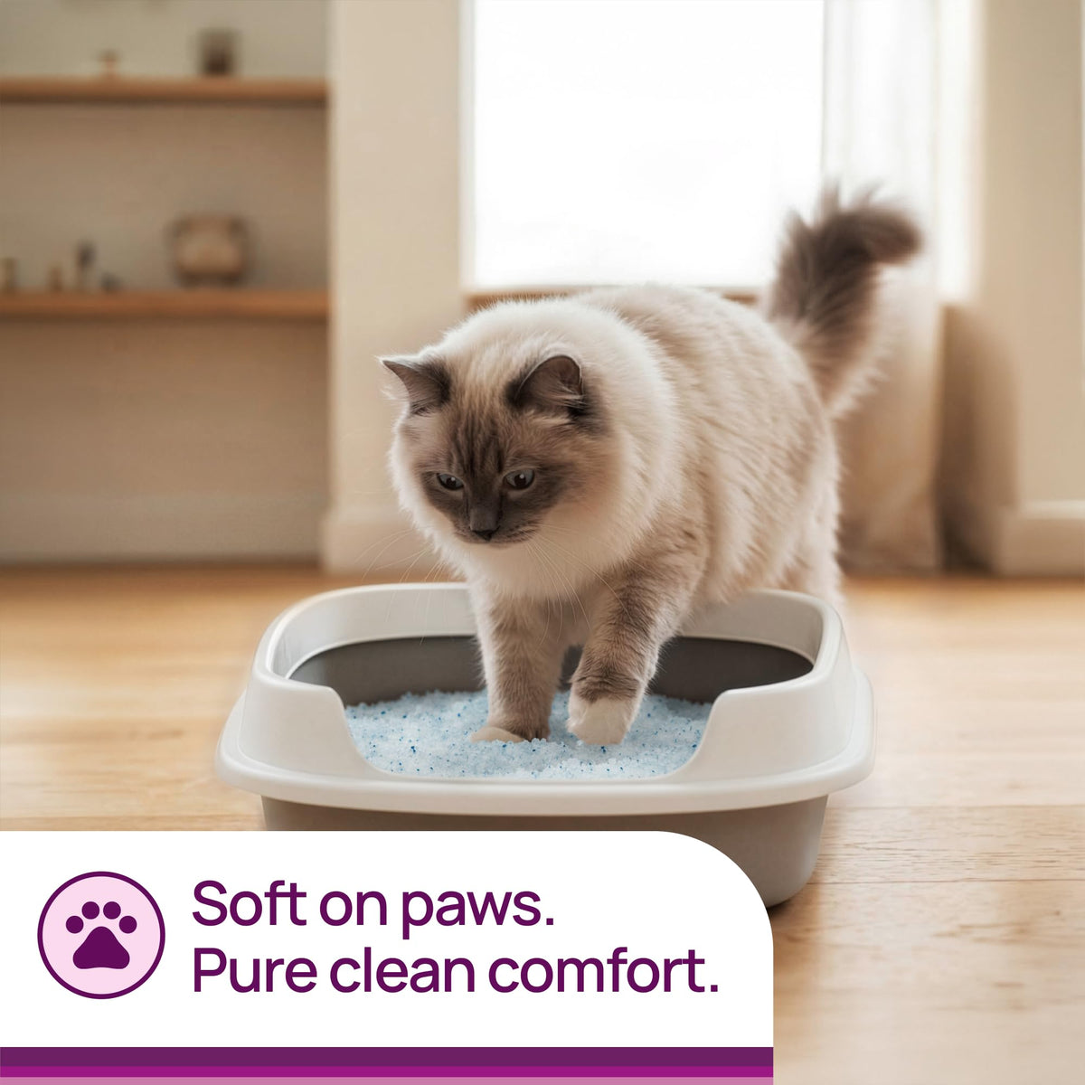Unscented Non-Clumping Crystal Cat Litter, 7 lb T364310