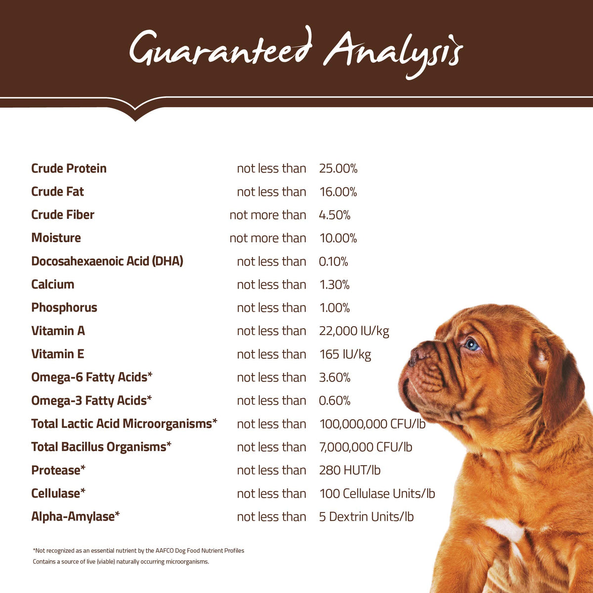 Natural Dry Dog Food Large Breed Puppy 30-Pound Bag D216937