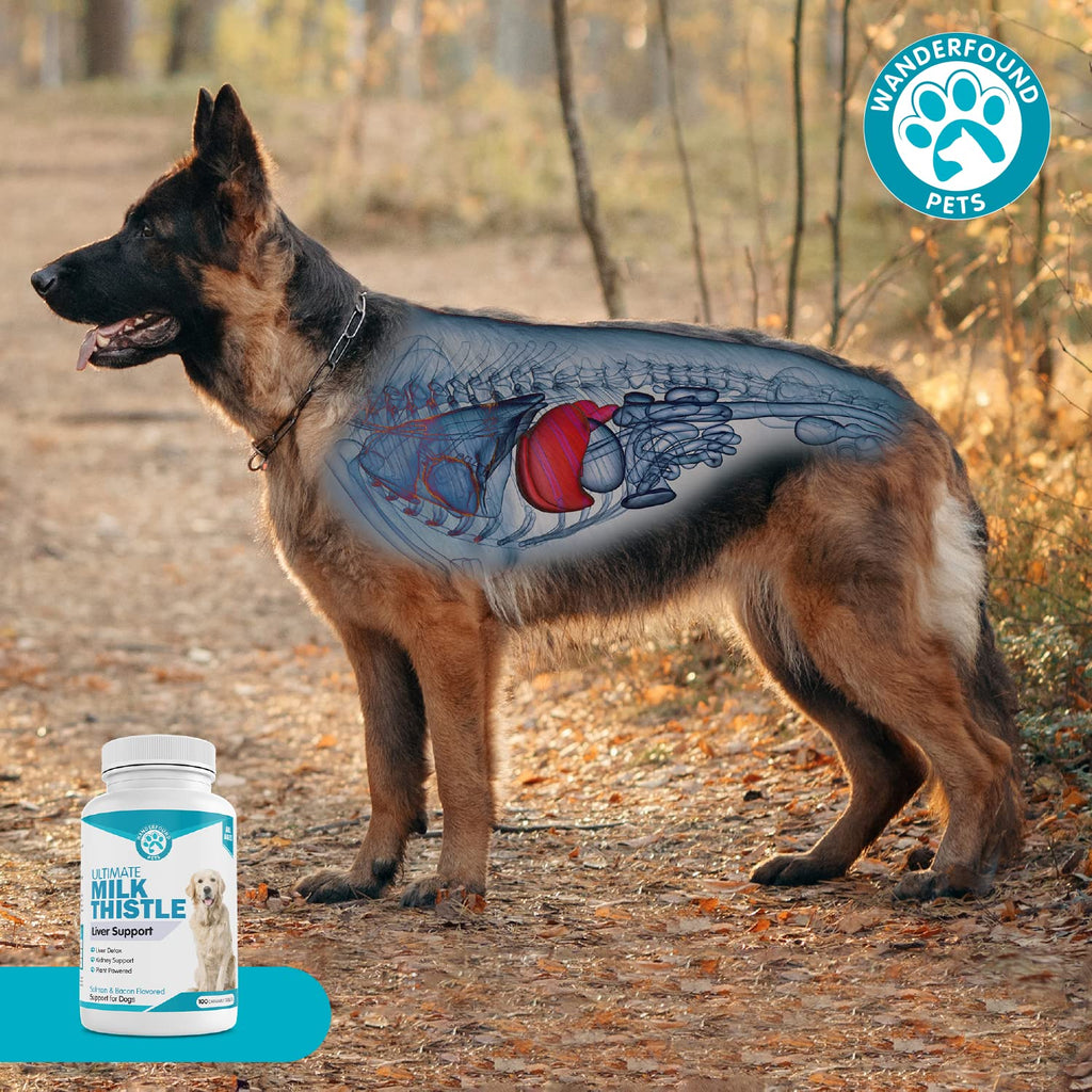 Milk Thistle for Dogs Chewable Tablets E6096