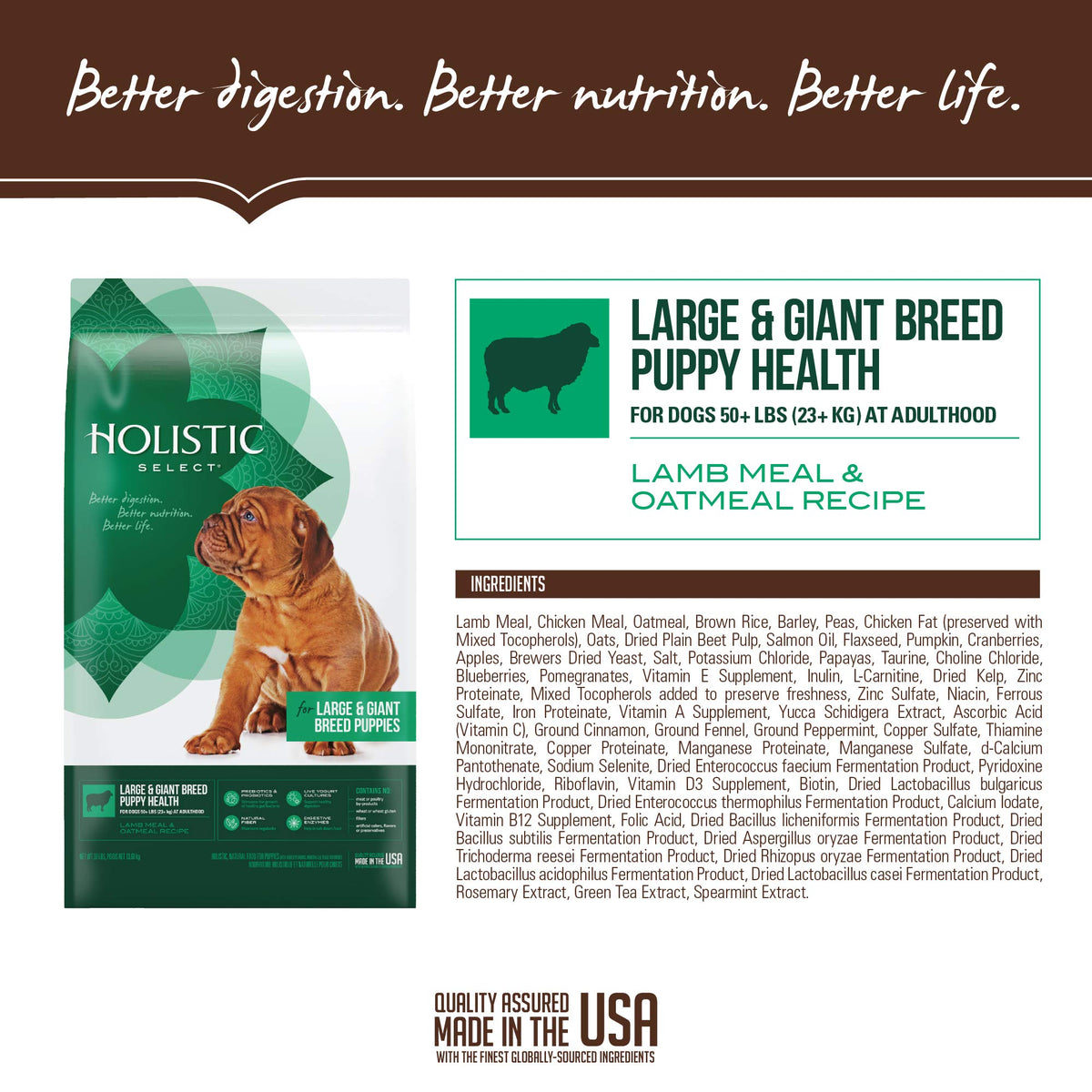 Natural Dry Dog Food Large Breed Puppy 30-Pound Bag D216937