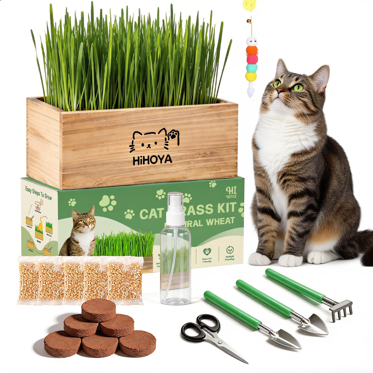 Cat Grass Kit with 5 Packets of Seeds, Wooden Planter, 6 Soil Discs, Trimming Scissors, Spray Bottle, and Mini Tools P5166