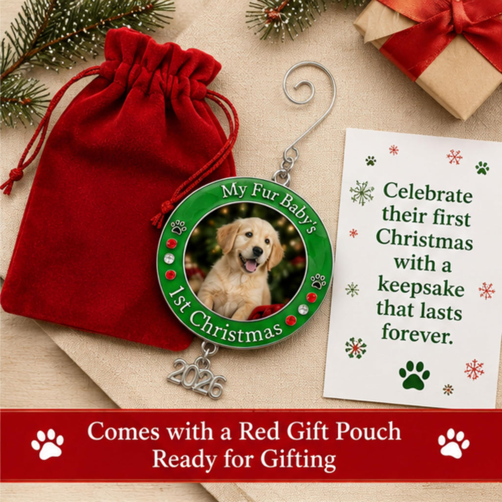 Dog Christmas Photo Ornament 3-Pack 3 Inch E30235