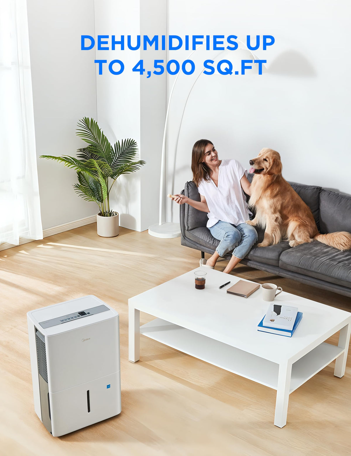50 Pint Dehumidifier with Pump V95753
