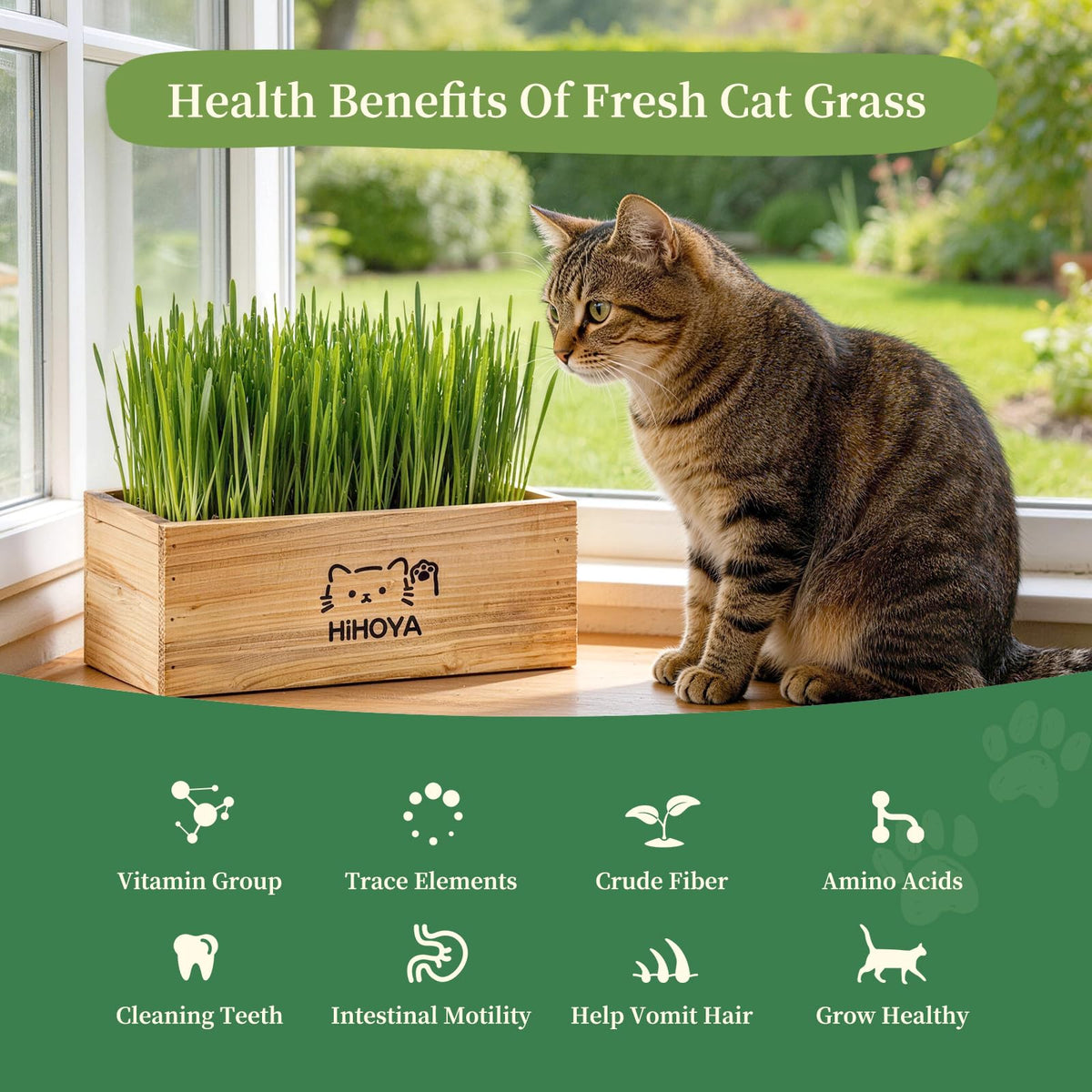 Cat Grass Kit with 5 Packets of Seeds, Wooden Planter, 6 Soil Discs, Trimming Scissors, Spray Bottle, and Mini Tools P5166