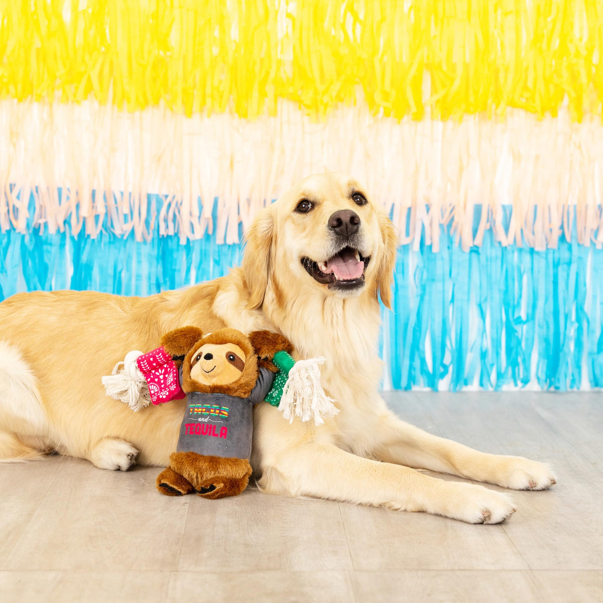 Plush Dog Toy C96327