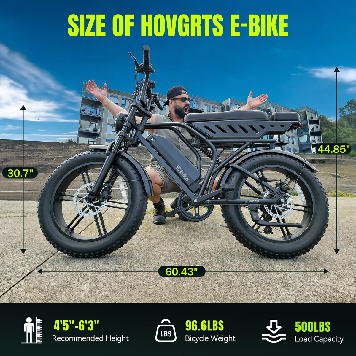 Electric Bike 48V 15Ah Battery 1500W Peak Motor 20 4.0 Fat Tire T59503