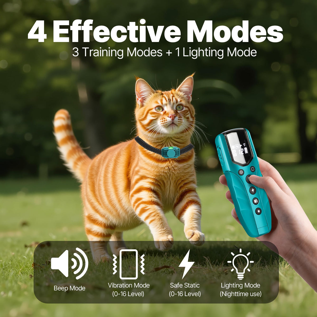 Small Cat Training Collar with Remote P609821