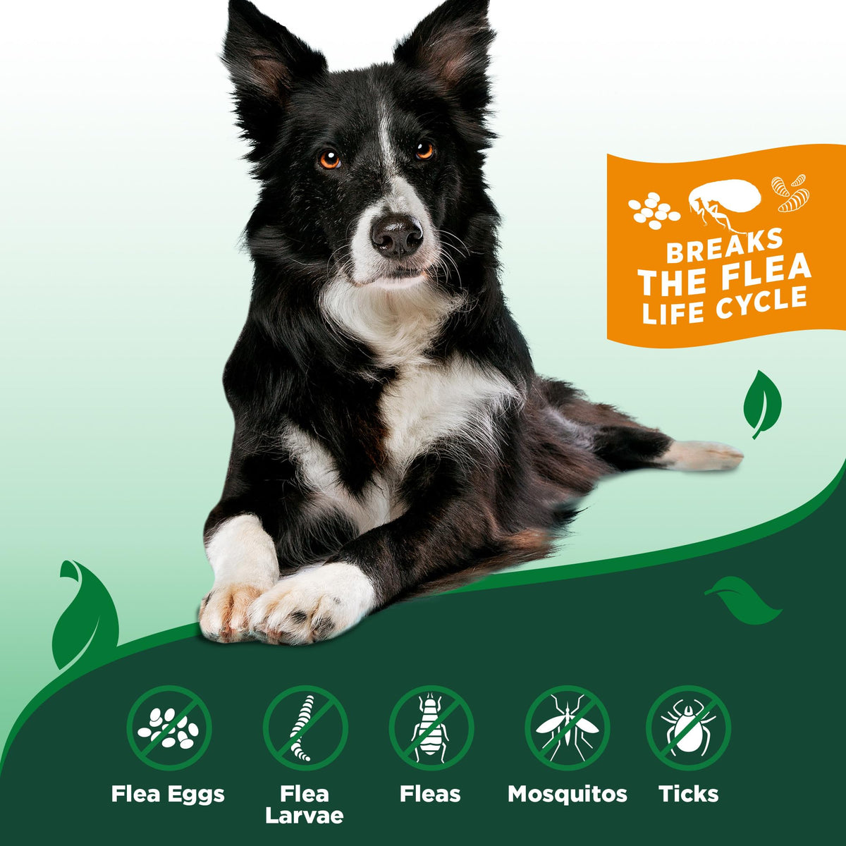 Indoor Flea & Tick Home Spray 32 oz W94644