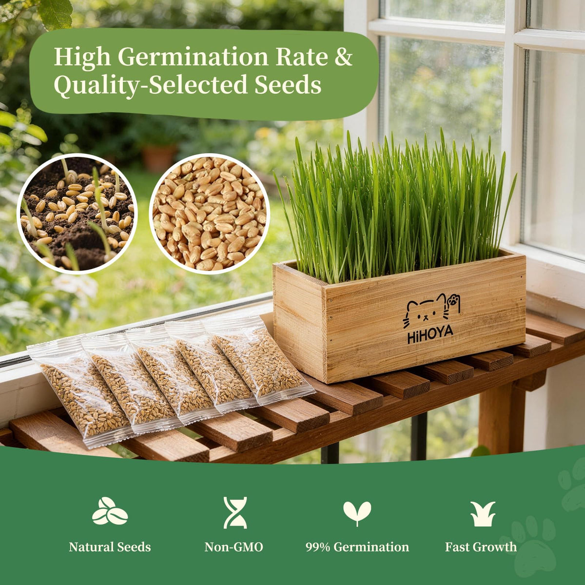 Cat Grass Kit with 5 Packets of Seeds, Wooden Planter, 6 Soil Discs, Trimming Scissors, Spray Bottle, and Mini Tools P5166