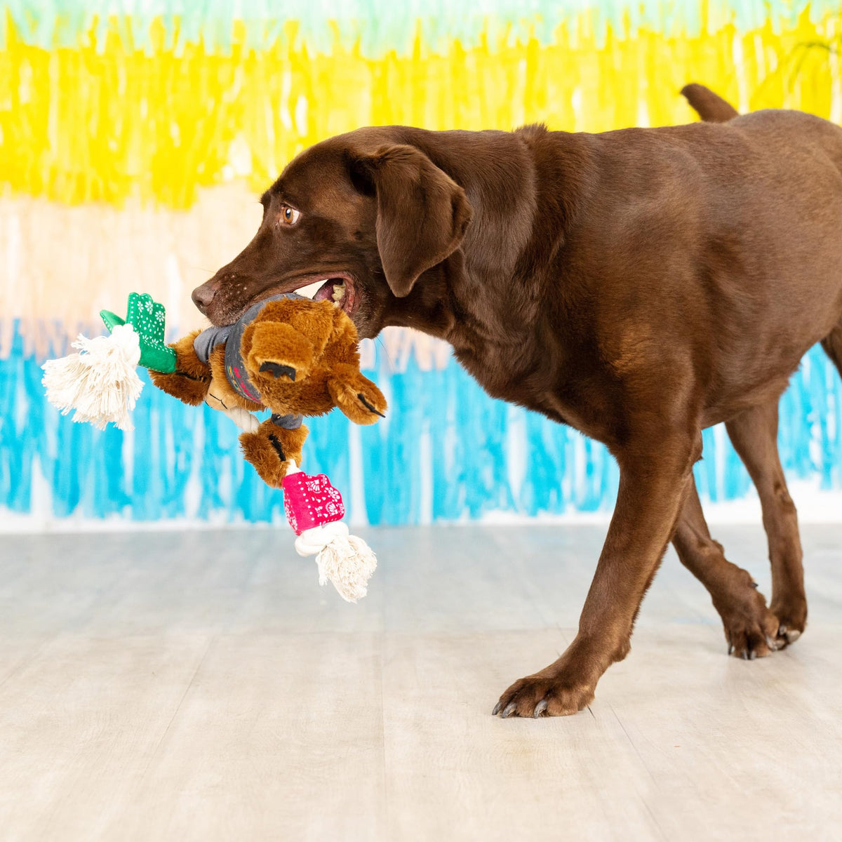 Plush Dog Toy C96327