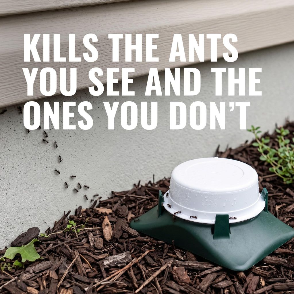 Outdoor Liquid Ant Bait Killer and Trap 8 Bait Stations M218416
