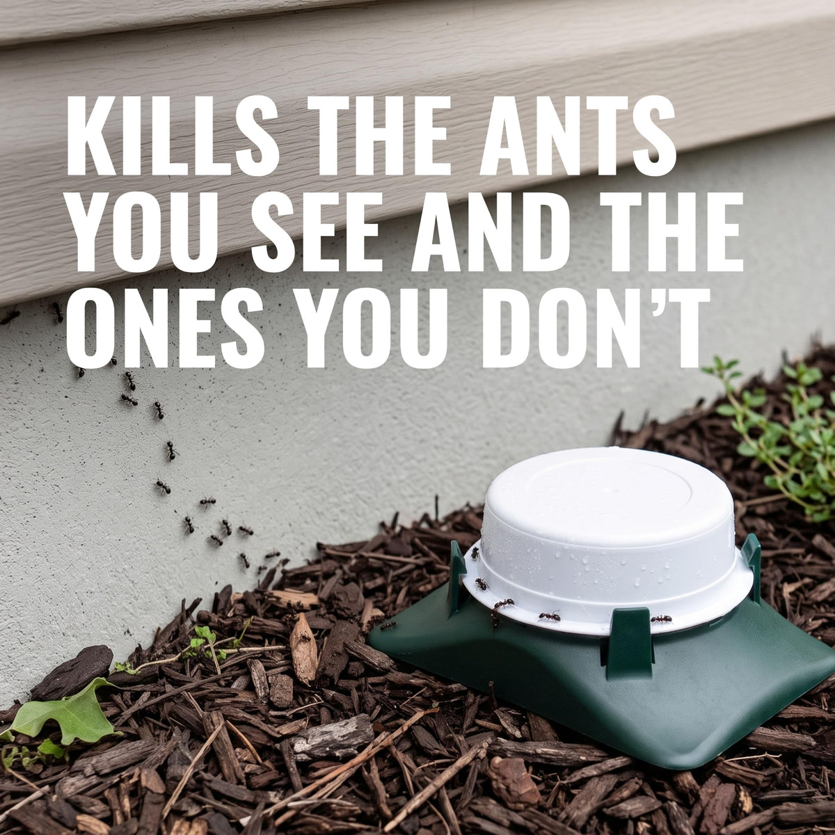 Outdoor Liquid Ant Bait Killer and Trap 8 Bait Stations M218416