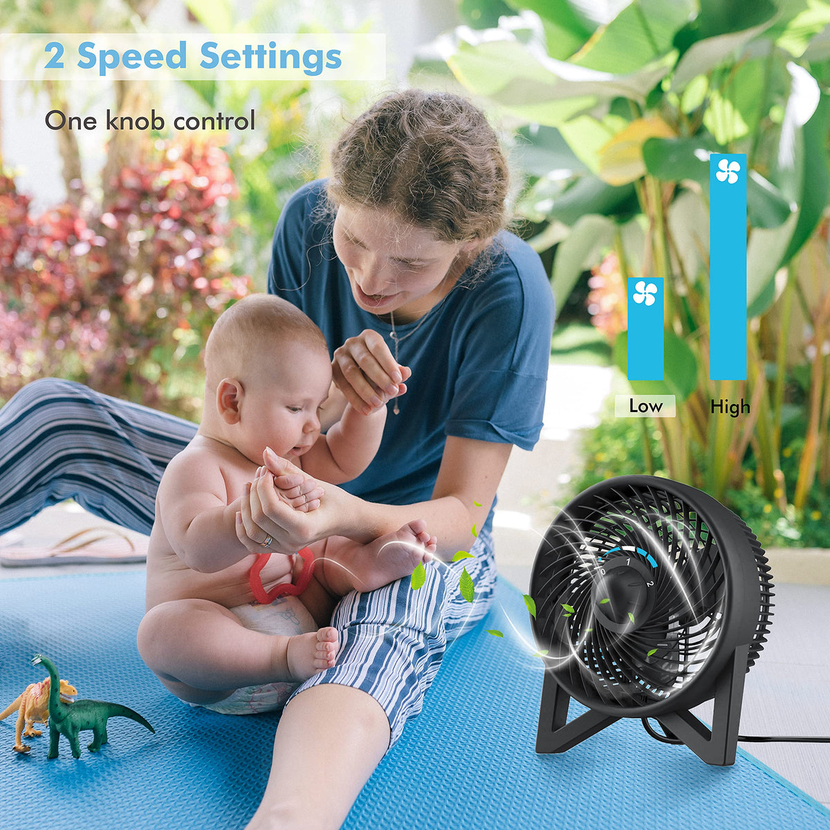 8 Inch Portable Quiet Desk Fan with 2 Speeds, Black F2682