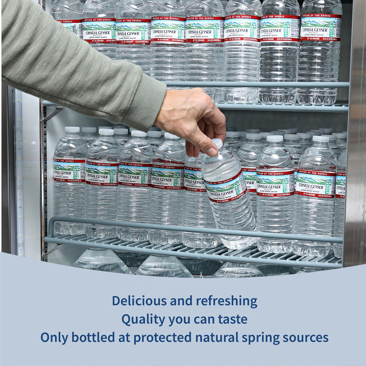 Natural Alpine Spring Water 16.9 Fl Oz (pack of 6) W925135
