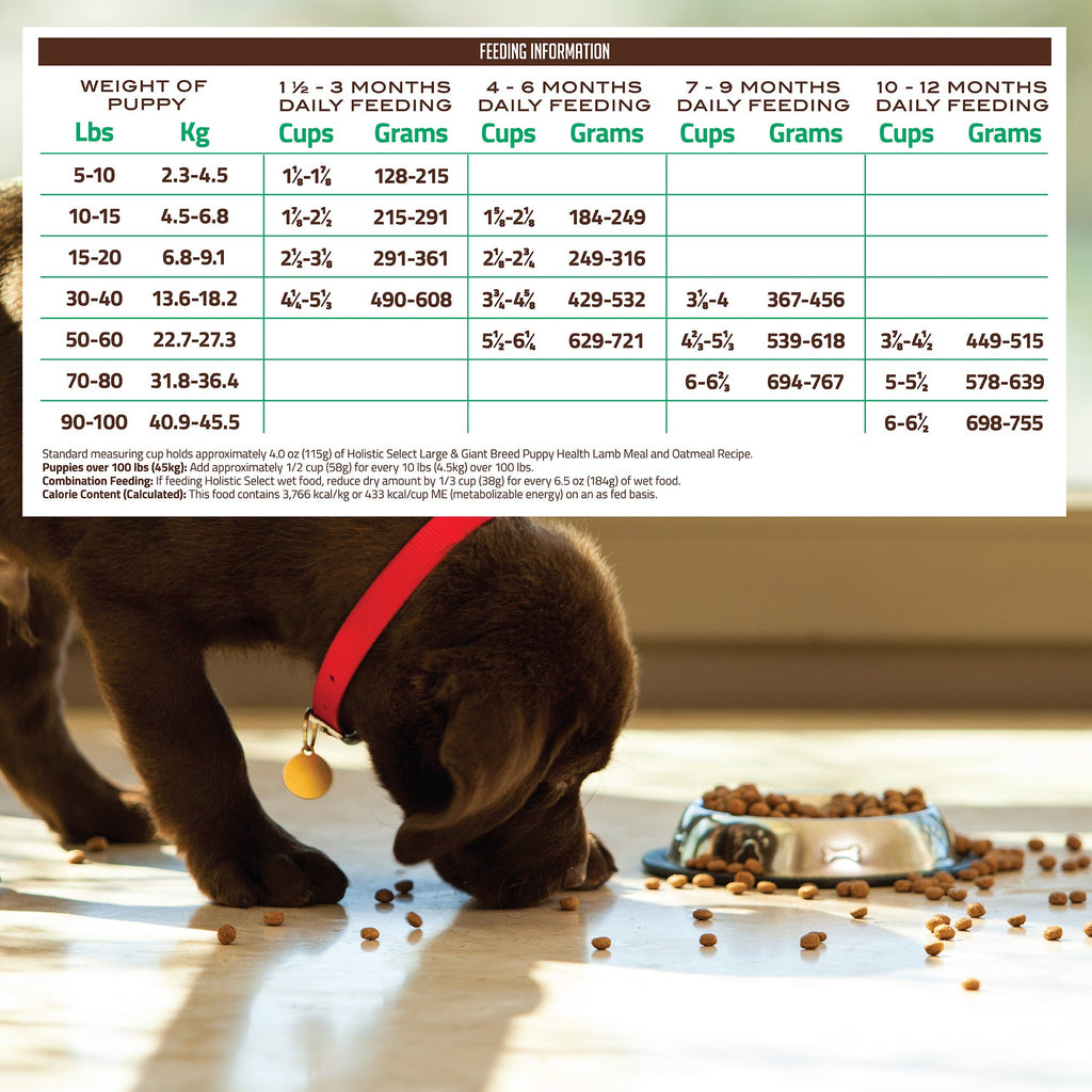 Natural Dry Dog Food Large Breed Puppy 30-Pound Bag D216937